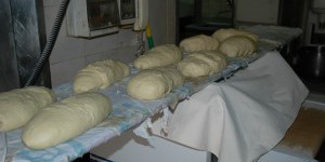 Freschi di Forno